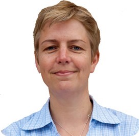 Malaria elimination and insecticide resistance: an interview with ...